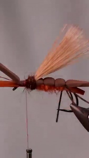Salmonfly for Monster Trout in 60 seconds
