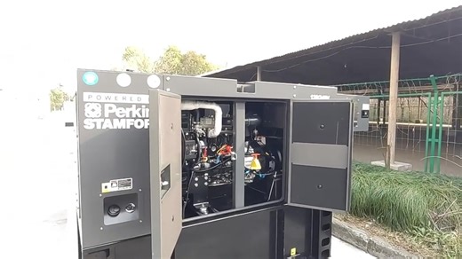 Perkins 300kva. Customized diesel generator set with extra large fuel tank to meet your electricity needs.#generators #eletricity #genset #perkins #foryou