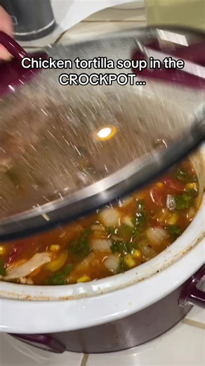 Delicious Chicken Tortilla Soup Recipe in the Crockpot