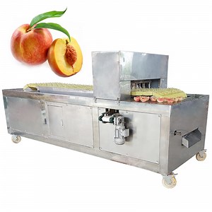 [Hot Item] Industrial Fruit Kernel Removing Peach Pulm Date Pitting Machine