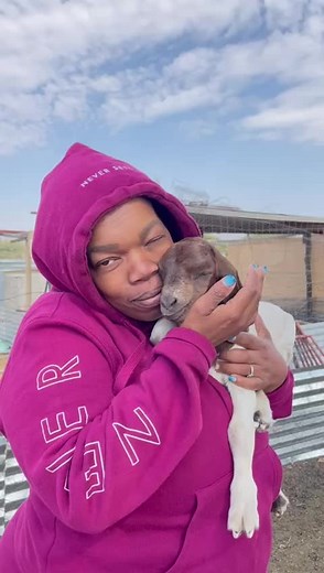 Caring for Baby Goats: Tips for Gentle Interactions