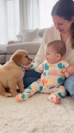 17 reactions | Giggles Paw Prints & Pure Happiness #puppylove #baby #babypet #shortviral #cute #asmr #cutebaby #cat #husky #babyanimal | viral video 3 | Facebook