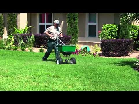 Sunniland Corp - How to Tips for Chinch Bugs