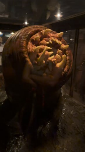 Inside Universal on Instagram: "Meet the Carnictus: the flesh-eating nightmare fuel worm from Skull Island. #UniversalOrlando #FYP #KingKong #Insect"
