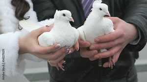 Bride and groom standing on bridge hold two white doves in hands. Wedding tradition