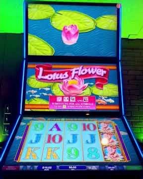 Lotus Flower Slots
