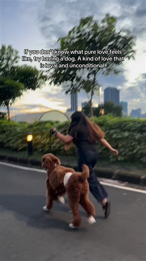 Pixie • Callie • Bronnie on Instagram: "The unconditional love that stays with you for a lifetime ♥️ Shoes: @gentlewalkerofficial Harness/Leash: @zeedog @zeedog.ph"