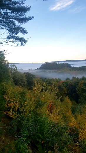 7.1K views · 316 reactions | Beautiful morning in Benezette, Pennsylvania, USA (October 03, 2022) | Scott Michael Miller Photography | Facebook