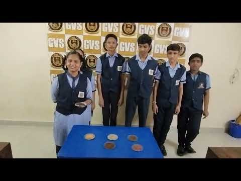 Types of soil by GVS Grade -10 children