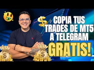 Automatiza tus señales en sólo 5 minutos con MT5 y Telegram