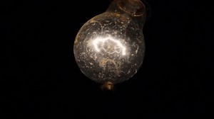 Night shot of insects flying around bare bulb. Isolated on a black background. Concept shot. Loop ready file. Camera on tripod.