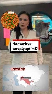 Ҳантавирус тарқаляптими?- BBC News O'zbek