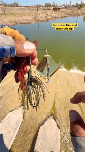 Tips setting up a Buzz bait with a Log Father for Bass#fishing#viralvideo#shortvideo#viral#shorts