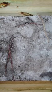 31K views · 469 reactions | DIY Deck Footings! #concrete #deckdesign #deckbuilding #deckbuilder #alwayslearning | BYOT | Facebook