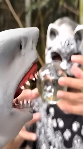 Shark Puppet ✪ on Instagram: "Full vid on youtube! 🙀"