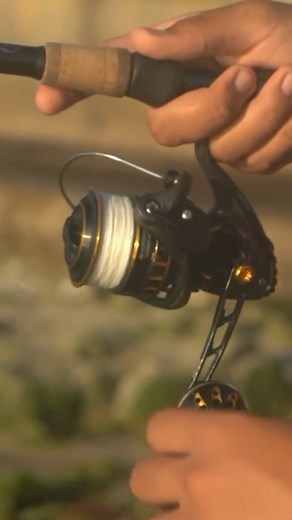 1K views · 34 reactions | Our 8X series ultra performance Beyond Braid is top Tier and will help you catch more fish today!  Head to beyondbraid.com gto spool up this season!  • @alexisizfishing | Beyond Braid | Facebook