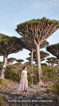 The civilization of Yemen by Emad Rabwan