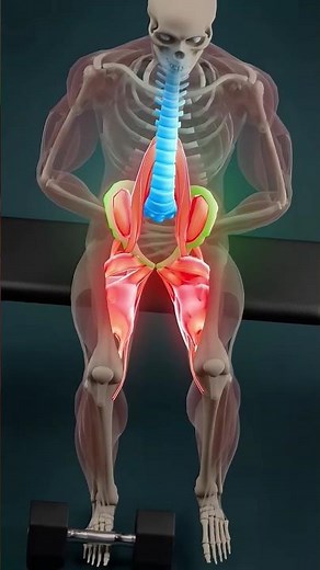 How to Train Hip Flexors Properly (Fix Weak Hips & Lower Back Pain)#strongabs #homeworkout #stronga