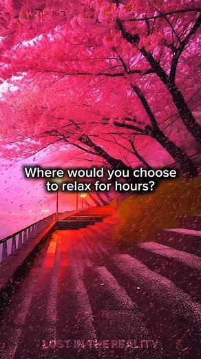 6.1K views · 5.1K reactions | Where are you choosing to relax? #chill #relax #vibes #fyp #follow #viral #nostalgia #nature #relaxvibes #whichonewouldyouchoose | Kyle Kaiser | Facebook