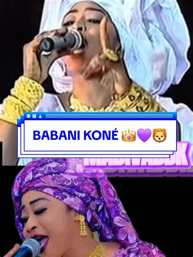Babani Koné et son impact musical