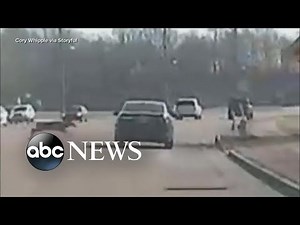 Dash camera captures the moment deer jumped over car on Tennessee highway