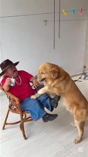 PILILIU SE APERREOU COM O CACHORRO 🤣#pililiu #humor #funny #comedy #fypシ #funil #fy #usa