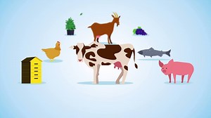 /// AGRICULTURE 🐖🥕🐇🍓🐄 Le budget 2018 consacré à l’agriculture est le plus élevé de toute l'histoire de la Région. Détails en chiffres et en images. | Région Auvergne-Rhône-Alpes