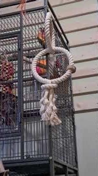 Well that's naptime cancelled then 🙃