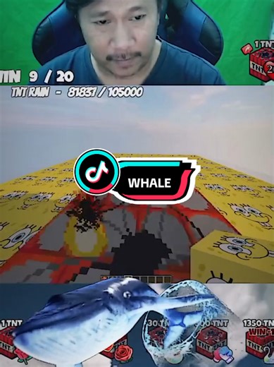 Discovering the Wonders of Whales in America