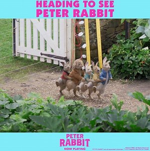 32K views · 916 reactions | Heading into theaters this weekend like… #PeterRabbitMovie  | Peter Rabbit Movie | Facebook