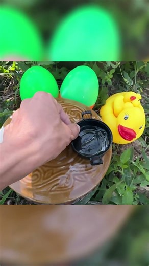 Catch beautiful aquarium fish in small pond baby turtles, pencil fish, guppies, koi, eel,molly fish