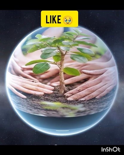 Future Earth in 2050 🌍🌎🌍🌎💀🥹😱🫸.