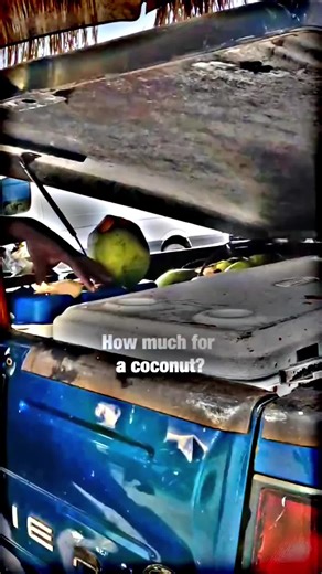 Helping People in Miami: A Heartfelt Initiative