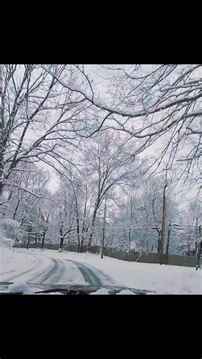 David León (@david.len469)’s videos with sonido original - Thetruckofmanu