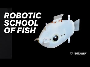 Robotic swarm swims like a school of fish