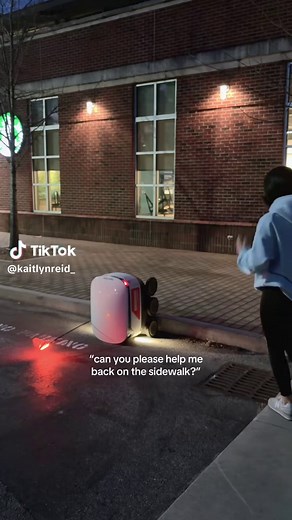 The Grubhub Robots: What's the Campus Beef About?