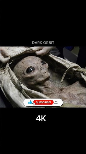 Alien Sightings: 144p vs. 4K Reality Check 👽 #darkorbit