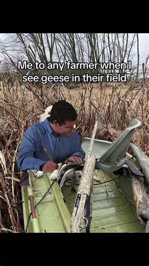 Hunting Season Insights: Geese in Farmer's Fields