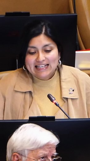 La ley de responsabilidad parental o 'papito corazón' ha recaudado más de dos billones de pesos. Un verdadero éxito de este gobierno. | Camila Rojas Valderrama Diputada