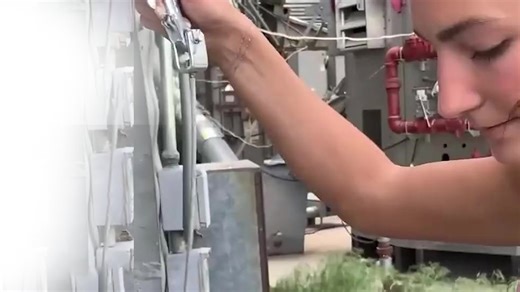 How farmers check corn quality