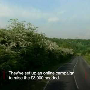 28K views · 342 reactions | Despite its bizarre TV popularity, this...