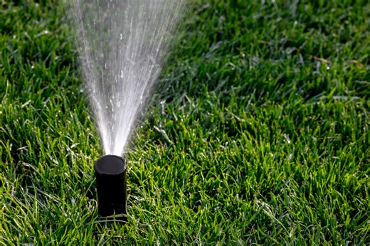 Florida officials: No more warnings for water restriction violators amid drought