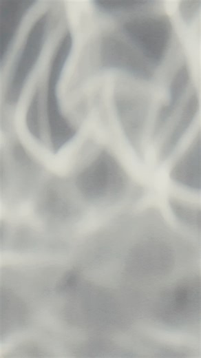 Nature's Real-Life Bio-Polymer System