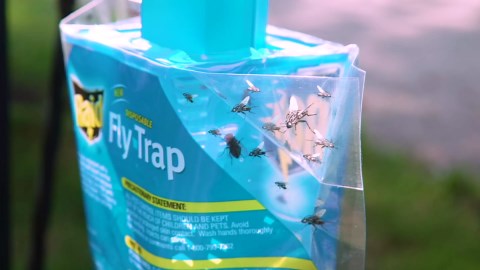 Amazon.com : Raid Fly Trap (2-Pack), Outdoor Fly Trap, Disposable Fly Trap Bag, House Fly Trap with Food-Based Attractant, Hanging Fly Bag, 2 Home Fly Trap Bags, Outside Fly Control for Home, Hanging Fly Bait Bags : Patio, Lawn & Garden