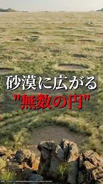 Eerie barren circles. The mystery of Namibia's "Fairy Circles" #Shorts