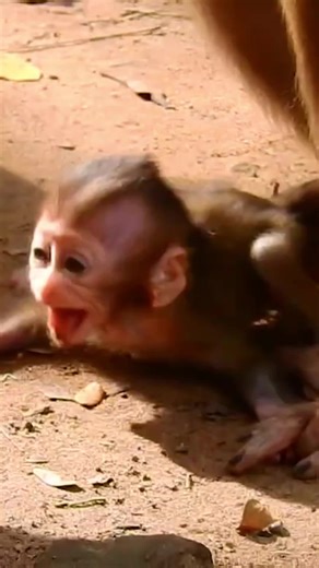 Baby's Emotional Cry for Mommy