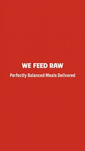 Look, there's a way to get your dog all the benefits of a raw, protein-rich diet no matter what your budget is. AND you can get $90 off right now with code RAW90 + free shipping! | We Feed Raw | Facebook