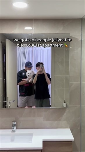 Decorating Our First Apartment with Pineapple Themed Items