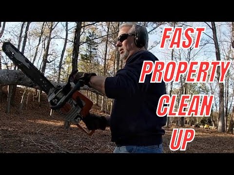 FAST PROPERTY CLEAN UP MADE EASY