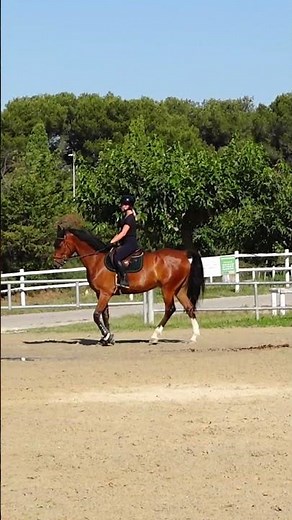 101 exercices d'équitation #horse #cheval